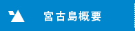 NPO美ぎ島宮古島｜宮古島概要